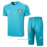 Tuta da Track Palmeiras 23-24 Manica Corta Verde - Pantaloncini
