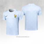 Maglia Allenamento Francia 24/25 Azzurro