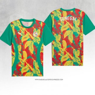Maglia Prematch Senegal 2024 Verde