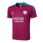 Maglia Allenamento Paris Saint-Germain 24/25 Purpura